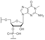 Unit Structure: 1-Methyl-guanosine
